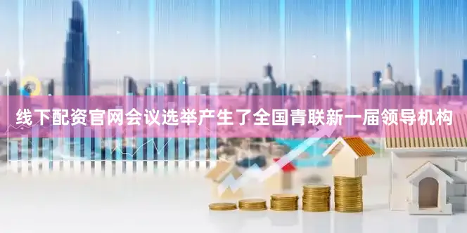 线下配资官网会议选举产生了全国青联新一届领导机构