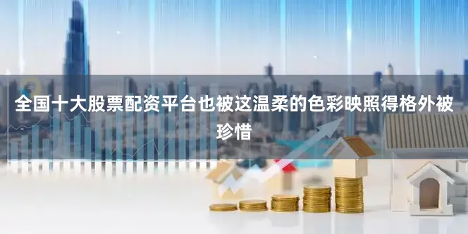 全国十大股票配资平台也被这温柔的色彩映照得格外被珍惜