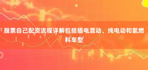 股票自己配资流程详解包括插电混动、纯电动和氢燃料车型